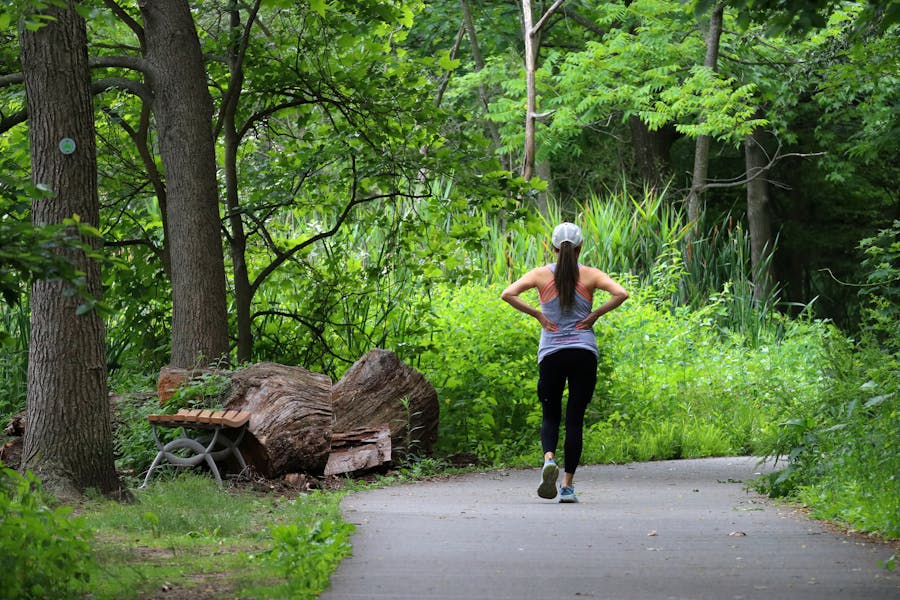 pexels-lawrence-su-1913420461-33407804 (1).jpg